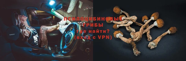 СК Бородино
