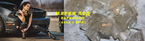 мяу мяу мука Дмитриев