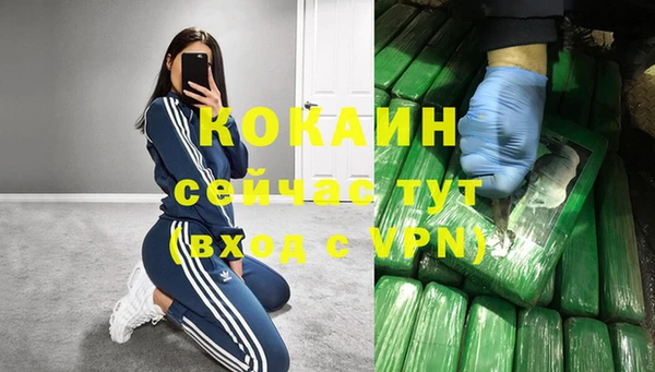 сатива Бронницы
