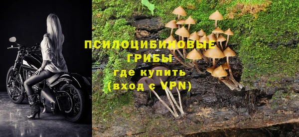 сатива Бронницы