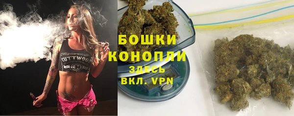 СК Бородино