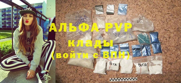 твердый Дмитров