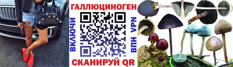 закладка  Электрогорск  Галлюциногенные грибы Magic Shrooms 