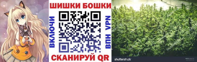 закладка  Электрогорск  Бошки марихуана Amnesia 
